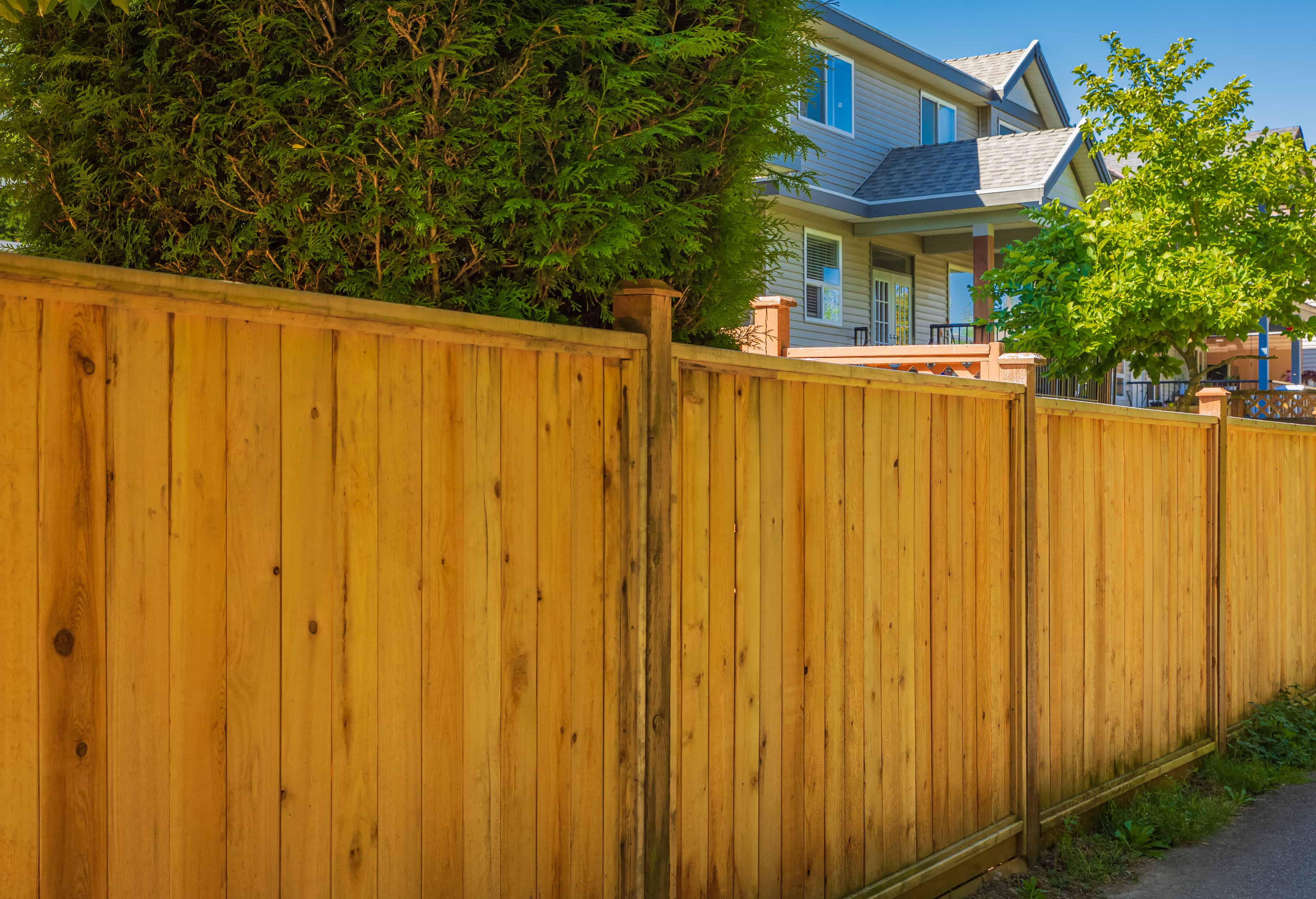 Fence and Deck Staining Services image