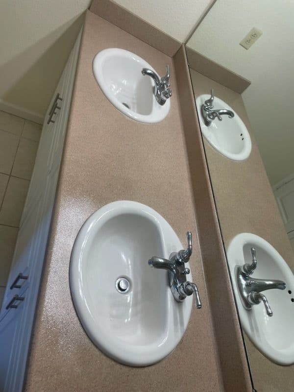 Stunning Bathroom Vanity and Deck Update image