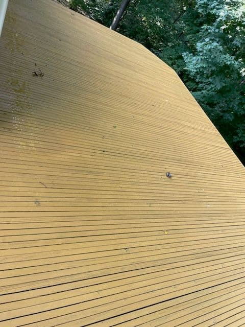 Elevate Your Outdoor Space with Expert Deck Staining image